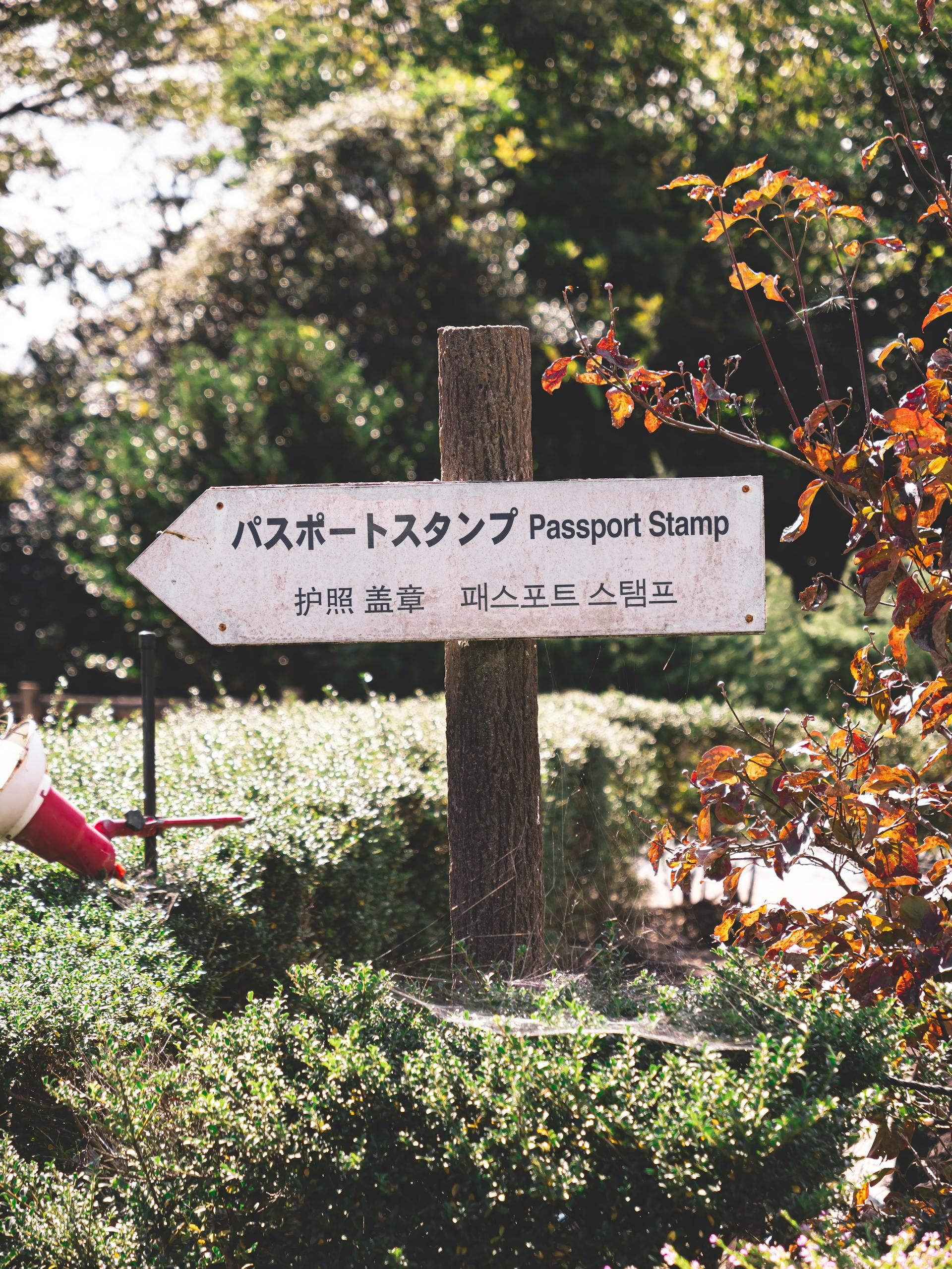 Japan Highly Skilled Professional (HSP) Visa Requirements & 1-Year PR